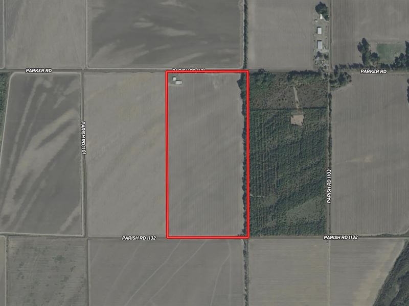 La, East Carroll 80 Acres : Sondheimer : East Carroll Parish : Louisiana