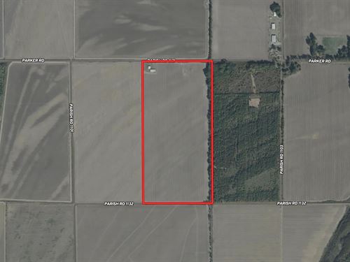 La, East Carroll 80 Acres : Sondheimer : East Carroll Parish : Louisiana