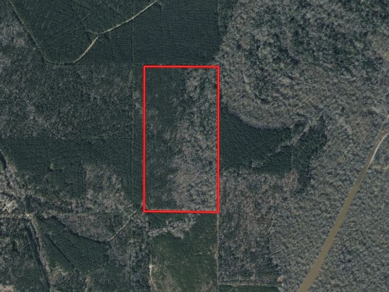 LA Grant 80 Acres : Pollock : Grant Parish : Louisiana