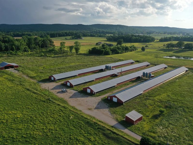Mount Hope Six House Broilers : Mount Hope : Lawrence County : Alabama