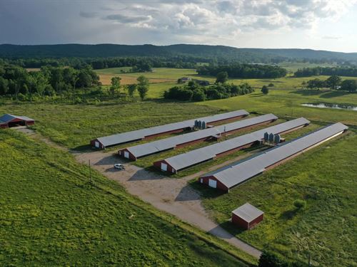 Mount Hope Six House Broilers : Mount Hope : Lawrence County : Alabama