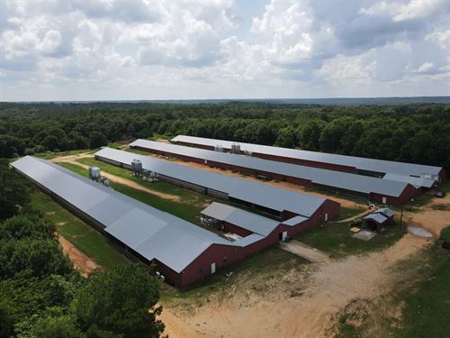 Welch Breeder Farm : Ozark : Dale County : Alabama