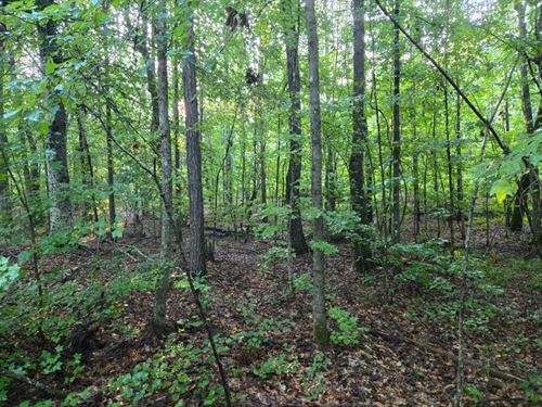 Dickert Tract 5 : Wadley : Randolph County : Alabama