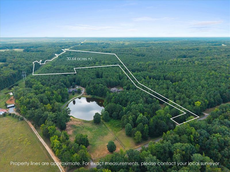 Pristine Land : Rutledge : Morgan County : Georgia