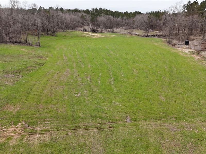 221 Acres in Marshall County, MS : Lamar : Lamar County : Mississippi
