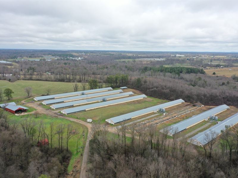 New Price, Painter Broiler Farm : Crossville : Dekalb County : Alabama