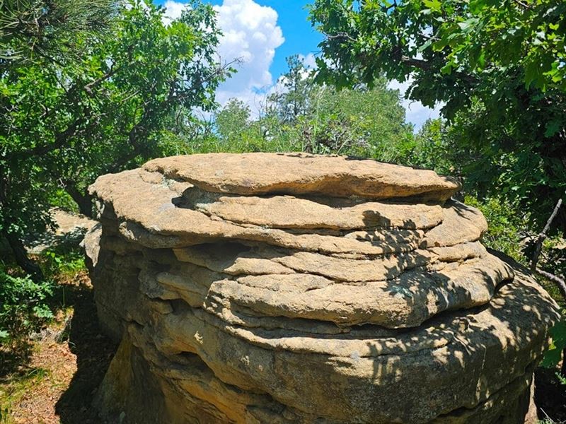 F30 Santa Fe Trail Ranch : Trinidad : Las Animas County : Colorado