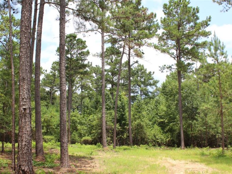 Liberty City Residential Estate : Notasulga : Tallapoosa County : Alabama