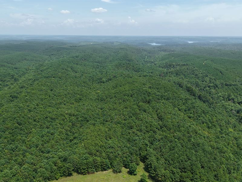 40 Acres East Tract in Polk Count : Grannis : Polk County : Arkansas