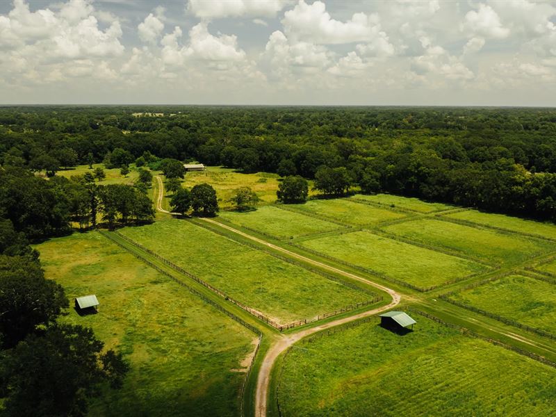 38 Acres in Lafayette Parish, LA : Carencro : Lafayette Parish : Louisiana