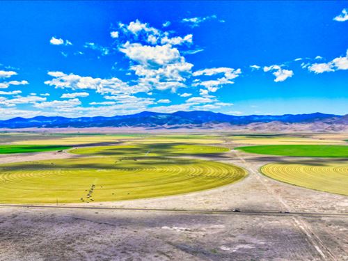 Power, Water Well, Irrigation, Barn : Saguache : Colorado