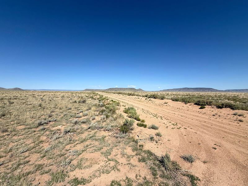 Off Grid Lot with Nearby River : San Luis : Costilla County : Colorado