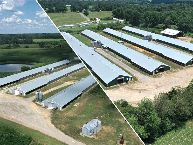 Baileyton Farms : Baileyton : Cullman County : Alabama