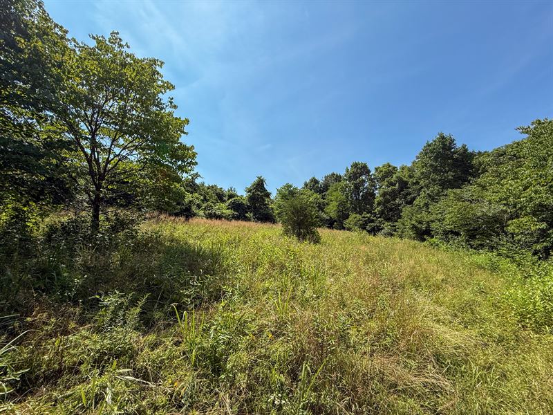 Coler Rd Lot 1 : Malta : Morgan County : Ohio