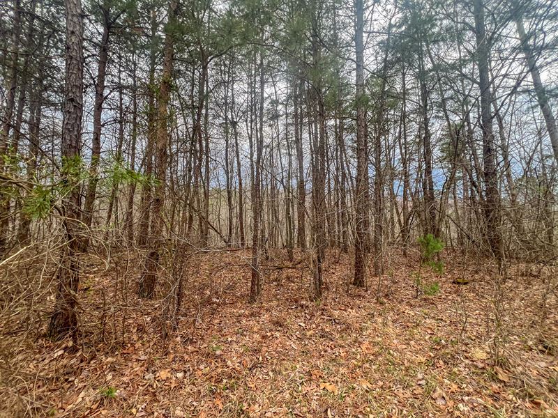 Ponetown Rd Lot 2 : Ray : Vinton County : Ohio