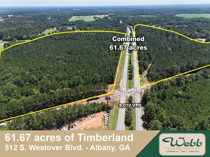 61.67 Acres Timberland Tract : Albany : Dougherty County : Georgia