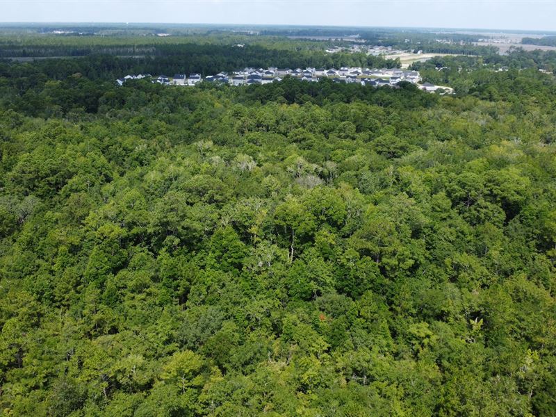 St. Marys Coastal Development : Saint Marys : Camden County : Georgia