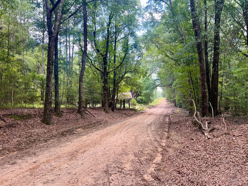 40 Acres County Road 212 : Jack : Coffee County : Alabama