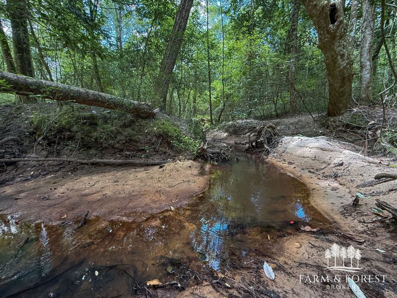 64 Ac Coffee Co, Shoal Creek Nor : Jack : Coffee County : Alabama