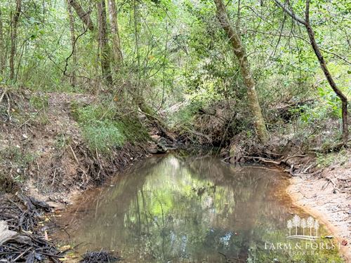 33 Ac Coffee Co, Shoal Creek Sou : Jack : Coffee County : Alabama