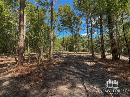 46 Ac Coffee Co : Jack : Coffee County : Alabama