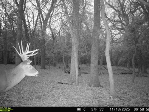 Krouse Brothers Ranch : Manhattan : Pottawatomie County : Kansas