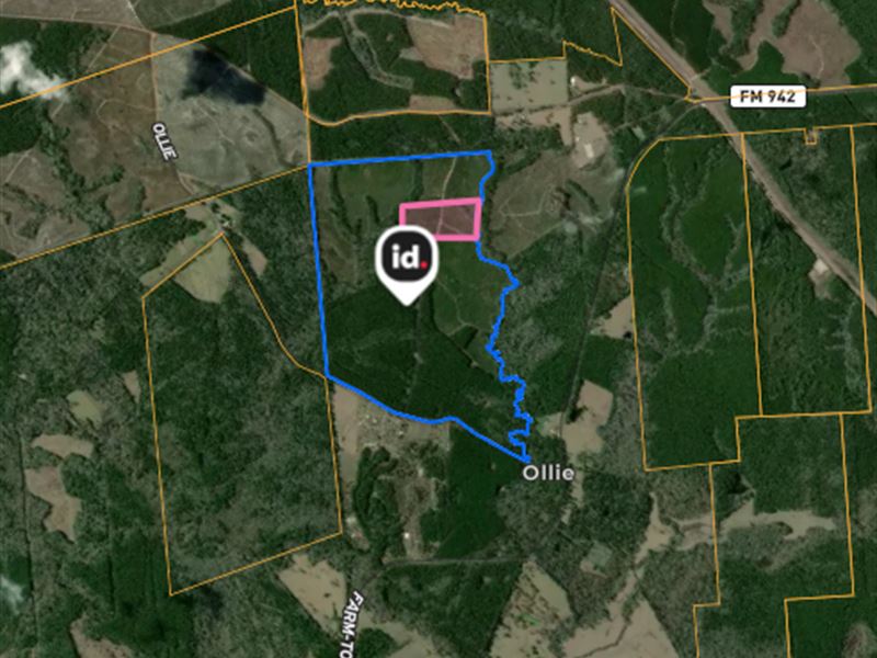 5 to 70.5 Acres in East Texas : Livingston : Polk County : Texas