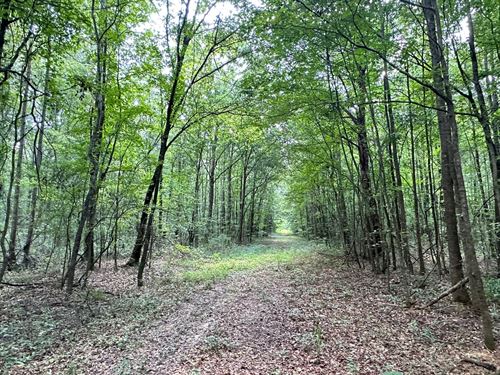 The Hunter Loop Tract, 407 Acres : Montgomery : Alabama
