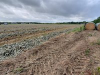 6939 Cedar Creek Rd : Temple : Bell County : Texas