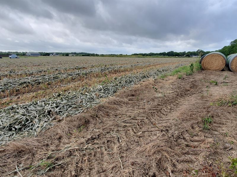 6939 Cedar Creek Rd : Temple : Bell County : Texas