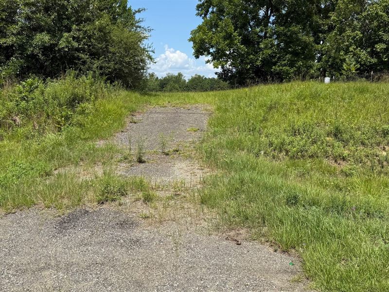 35 Acres Farmland in Marianna, FL : Marianna : Jackson County : Florida