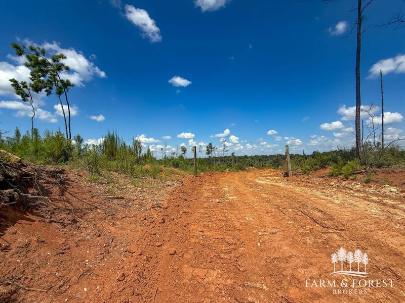 22 Ac Coffee Co, Jack Tract 4 : Jack : Coffee County : Alabama