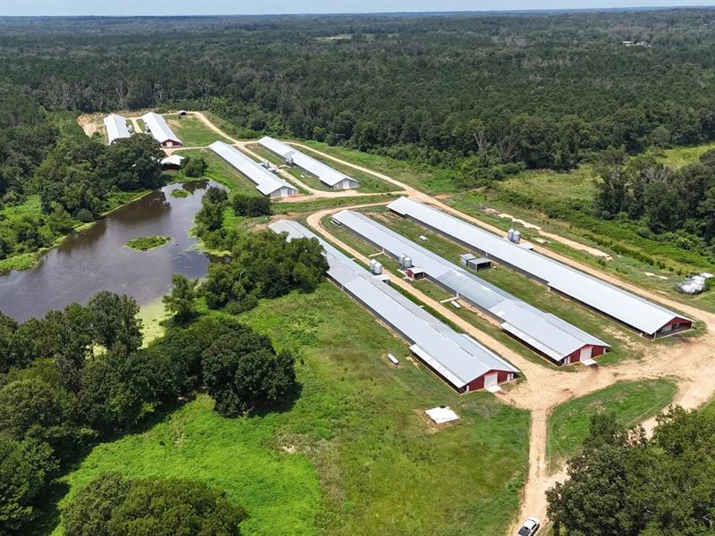 Kaisky Broiler Farm : Wesson : Copiah County : Mississippi