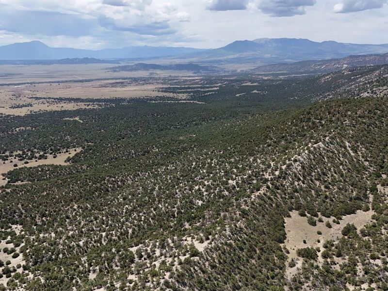 County Road 616, Walsenburg : Walsenburg : Huerfano County : Colorado
