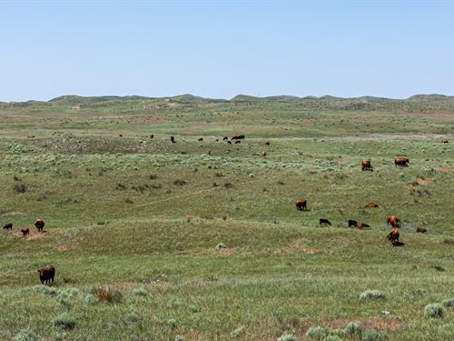 Wilson Ranch : Bonner : Morrill County : Nebraska