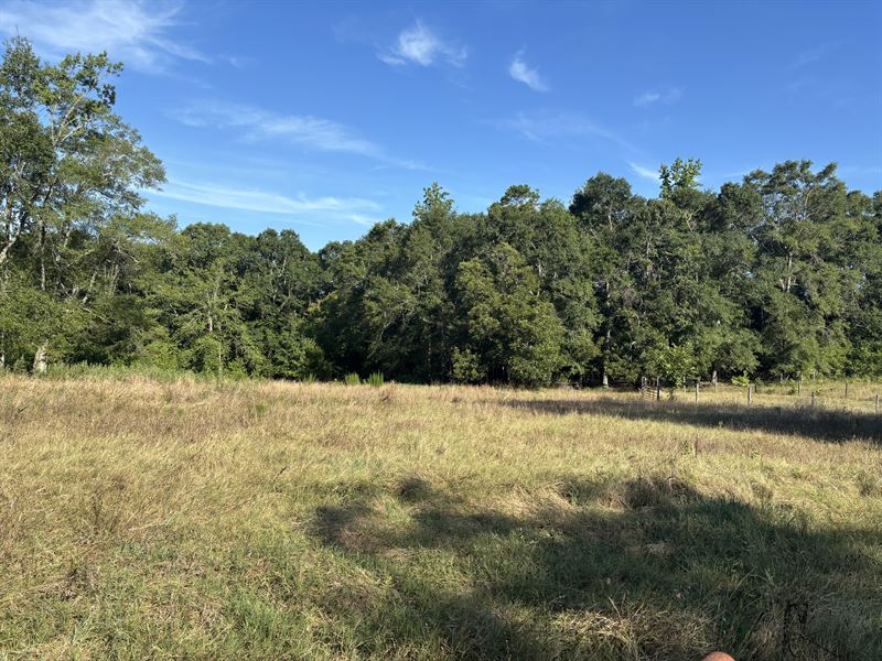 Holiday Dam Road Tract : Belton : Greenville County : South Carolina