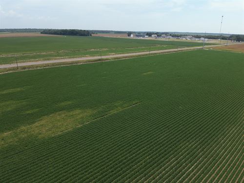 La, West Carroll 63 Acres : Epps : West Carroll Parish : Louisiana