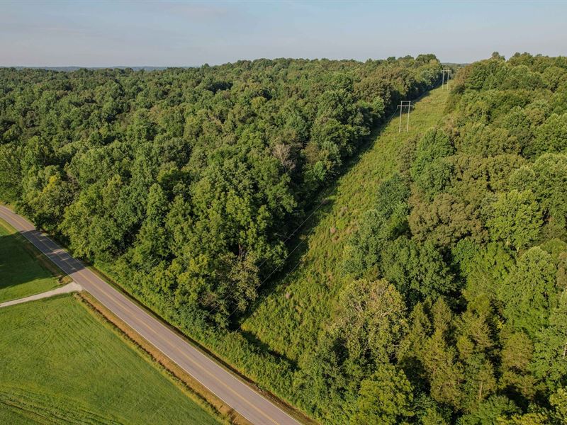 Rock Springs Road : Cumberland Furnace : Dickson County : Tennessee