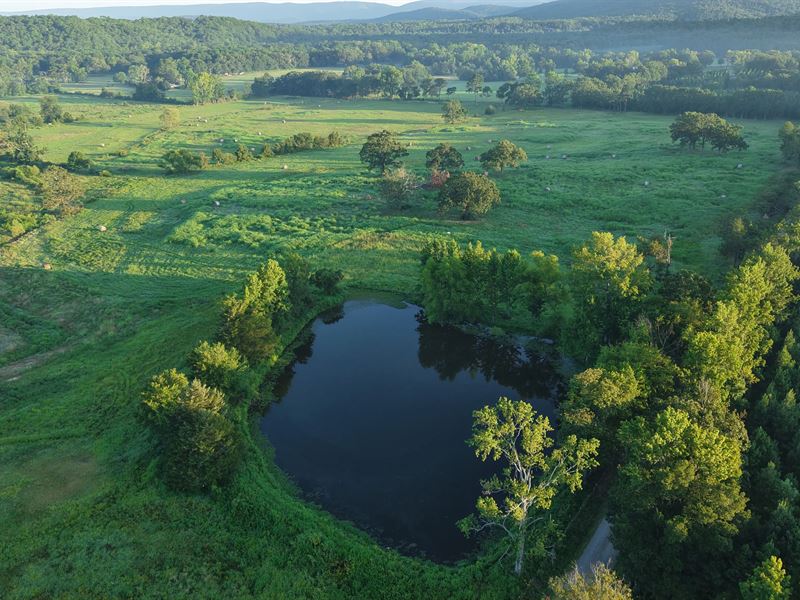 34.19 Acres in Polk County, AR : Mena : Polk County : Arkansas