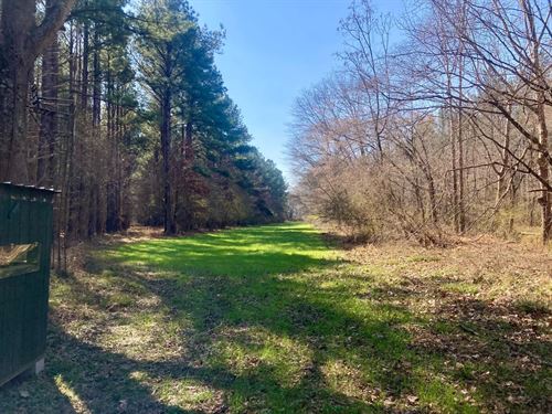 Ramer Creek Tract, 361 Acres : Ramer : Montgomery County : Alabama