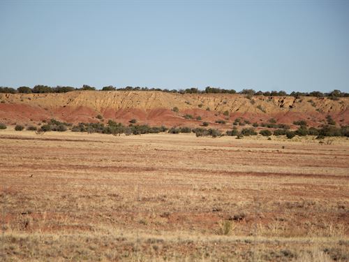 G Bar Ranch 104 : Saint Johns : Apache County : Arizona