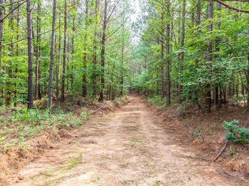 No Credit Check, Own Today : Lexington : Henderson County : Tennessee