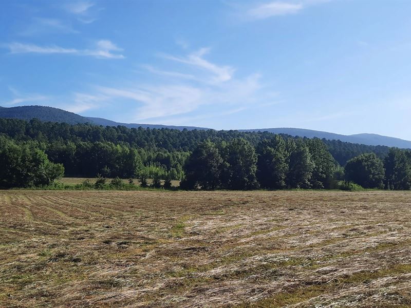 116 Acres in Scott County, AR : Waldron : Scott County : Arkansas