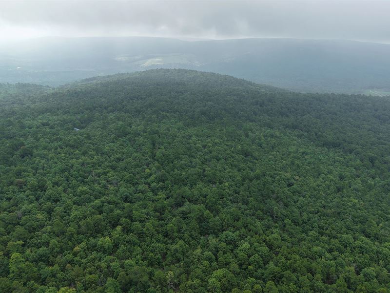 80 Acres with 3 Cabins in Pushmatah : Clayton : Pushmataha County : Oklahoma