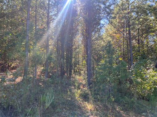 Logtown 860-3 : Thomaston : Upson County : Georgia