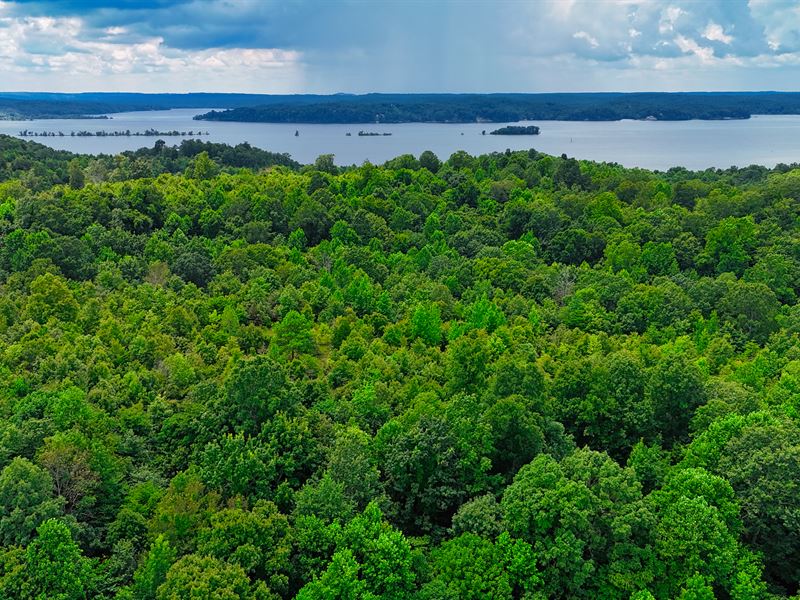 Private 12.62 Acres Near Stewart : Stewart : Stewart County : Tennessee