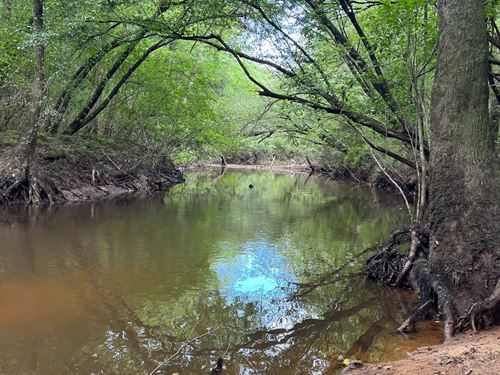 Coalfire Creek 250 : Reform : Pickens County : Alabama