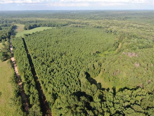 Benevola Tract-72 : Gordo : Pickens County : Alabama