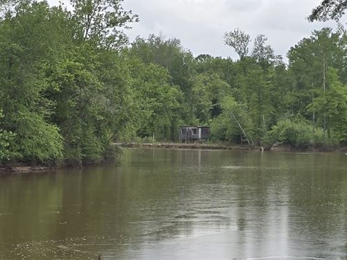 45 Ac Bluff Over Sunk Lake With Ag : Henning : Lauderdale County : Tennessee