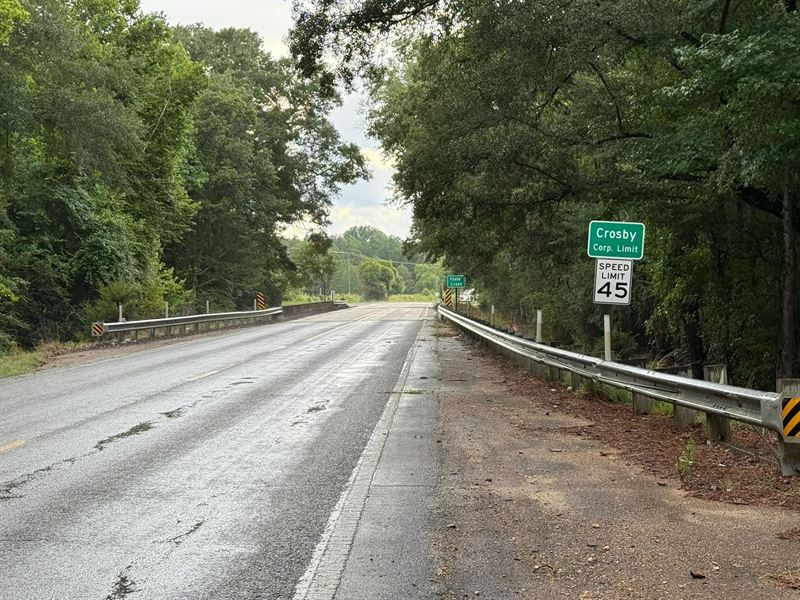 175 Acres in Amite County, MS : Crosby : Amite County : Mississippi